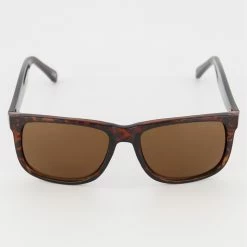 Tommy Hilfiger Brown Wayfarer Sunglasses